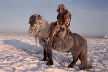 Siberian Yakut knf (Right-Grind)