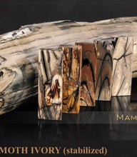 Siberian Mammoth ivory knf (LEFT-GRIND)